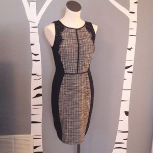 Gorgeous Loft dress